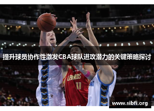 提升球员协作性激发CBA球队进攻潜力的关键策略探讨