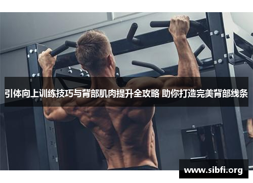 引体向上训练技巧与背部肌肉提升全攻略 助你打造完美背部线条