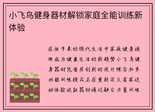 小飞鸟健身器材解锁家庭全能训练新体验