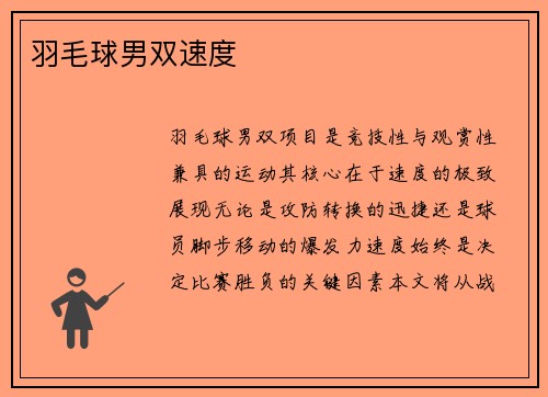羽毛球男双速度